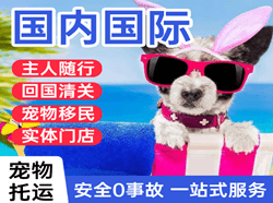 舟山普陀山航空邮寄国际宠物托运 【国